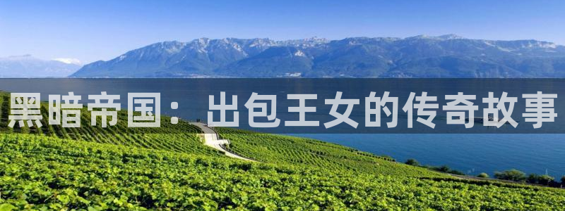 行业资讯